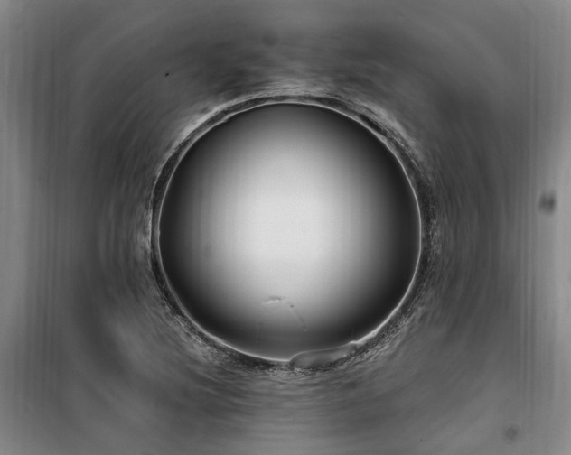 X0000100201220200805301302