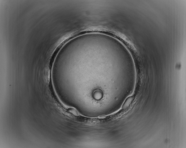 X0000100201221200805301302