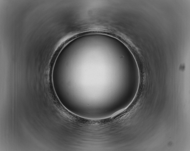 X0000100201222200805301302