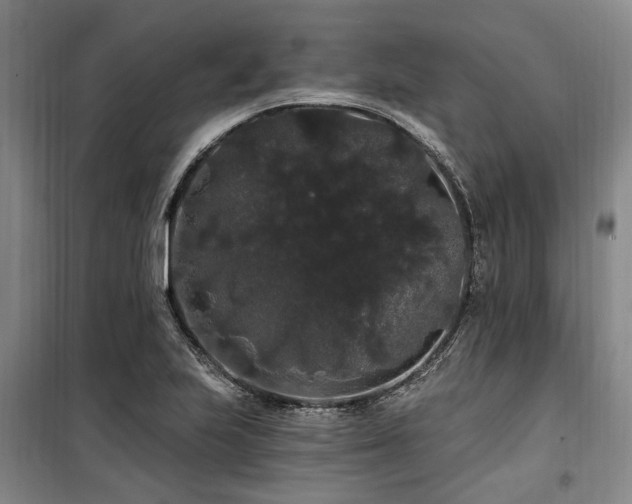 X0000100201223200805301302