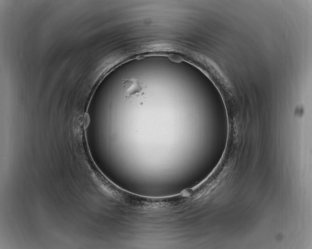 X0000100201225200805301302