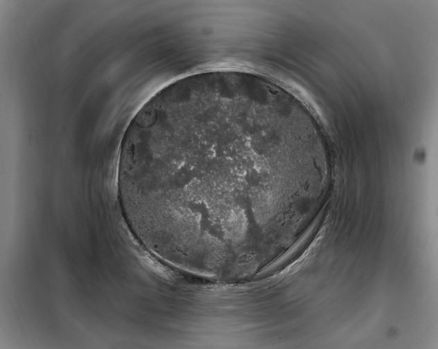 X0000100201228200805301303