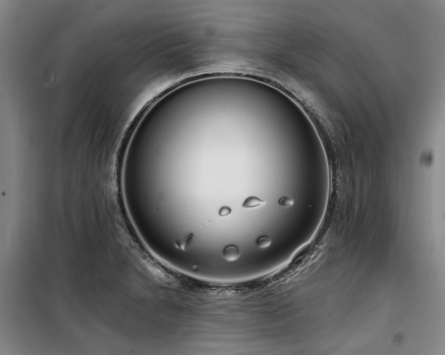 X0000100201230200805301303