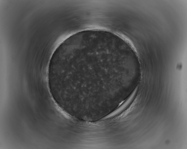 X0000100201231200805301303