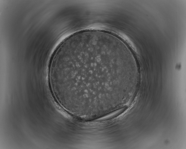 X0000100201232200805301303