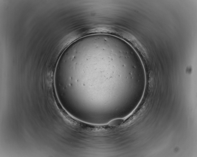 X0000100201233200805301303