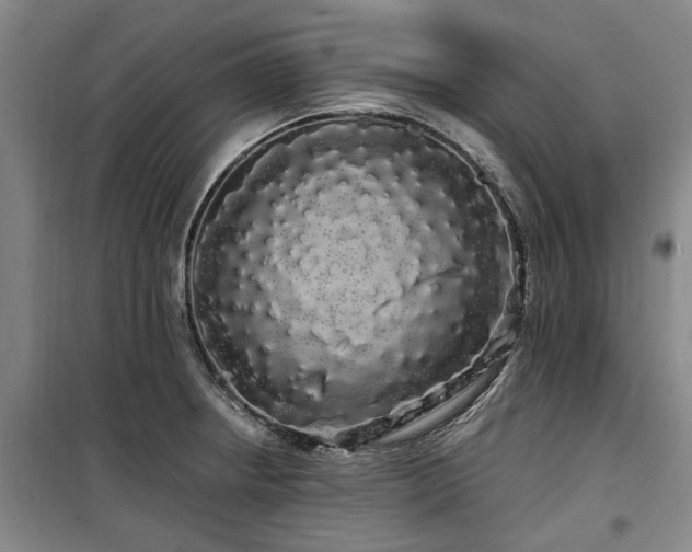 X0000100201234200805301303