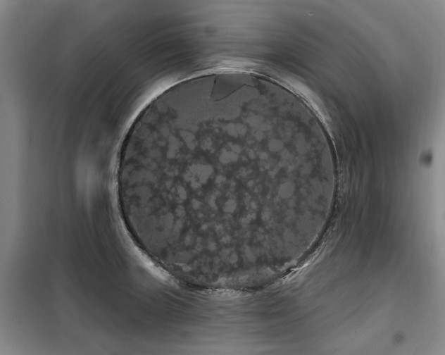 X0000100201235200805301303