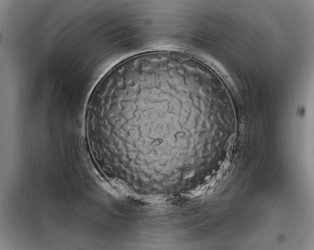 X0000100201236200805301303