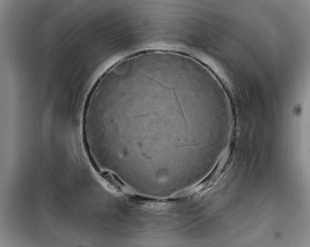 X0000100201237200805301303