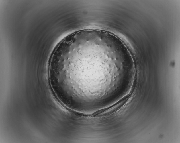 X0000100201238200805301303