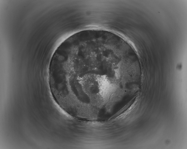 X0000100201239200805301303