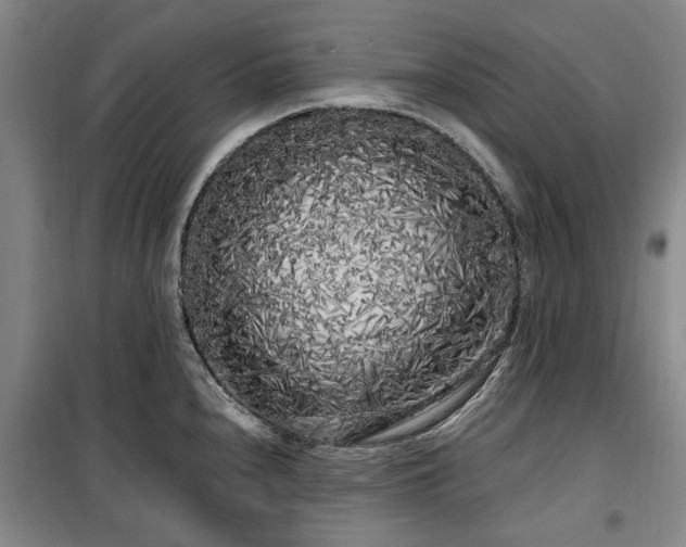 X0000100201240200805301303