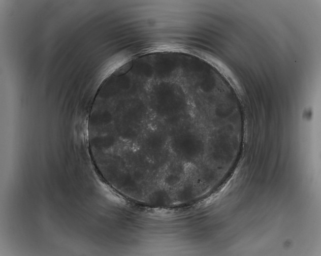 X0000100201241200805301303