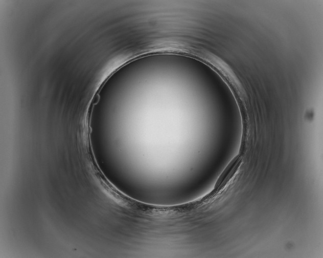 X0000100201242200805301303