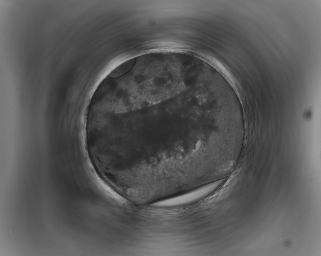 X0000100201243200805301303