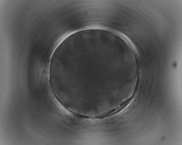 X0000100201244200805301303