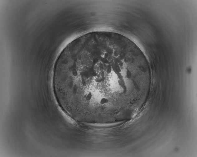 X0000100201245200805301303