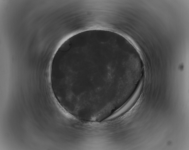 X0000100201246200805301303