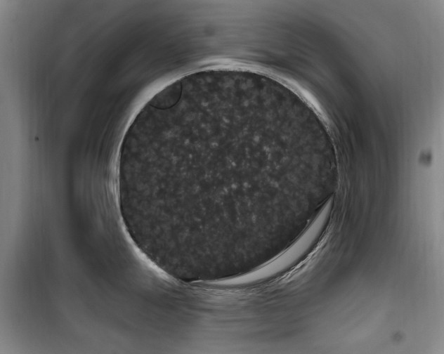 X0000100201247200805301303