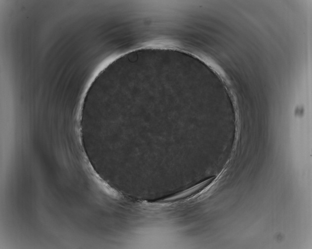 X0000100201248200805301303