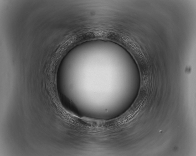 X0000100201249200805301302