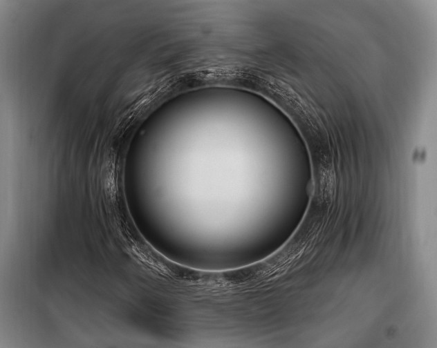 X0000100201250200805301302