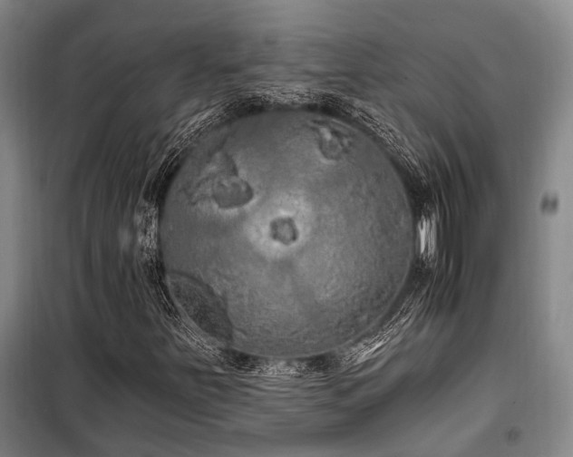 X0000100201251200805301302