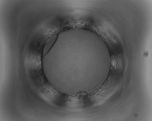 X0000100201252200805301302