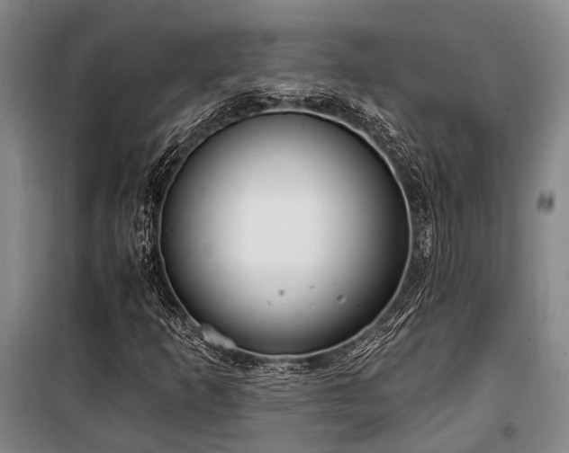 X0000100201253200805301302