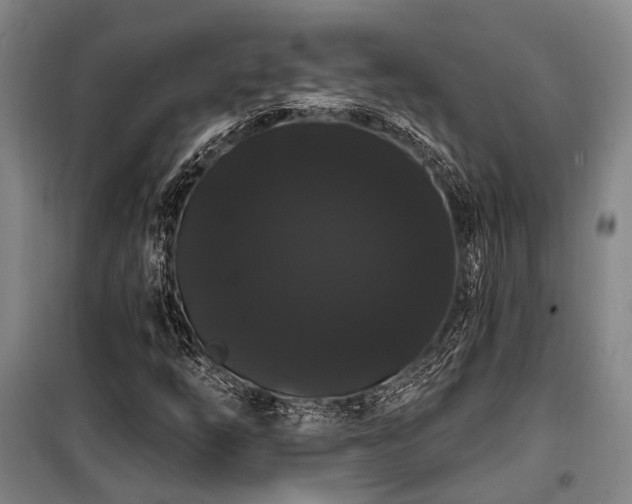 X0000100201254200805301302