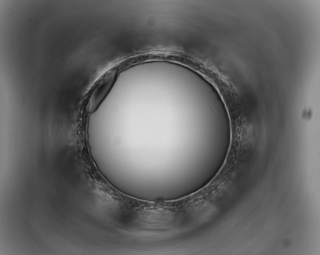 X0000100201256200805301302