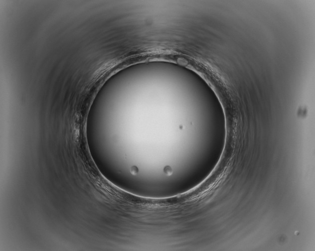 X0000100201257200805301302