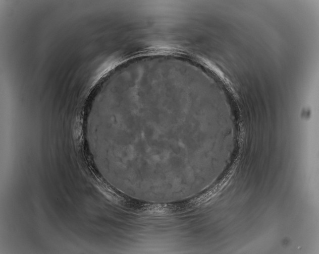 X0000100201259200805301302