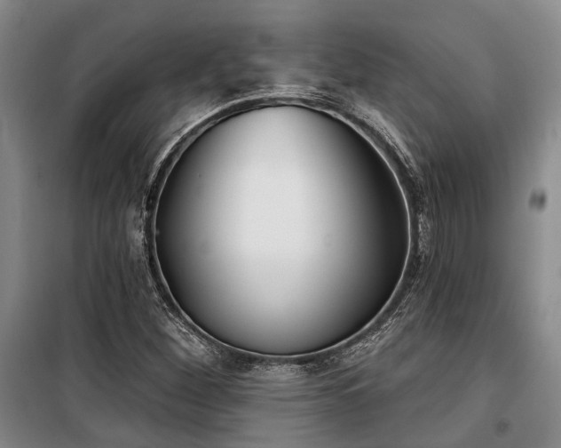 X0000100201260200805301302