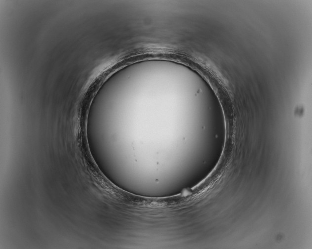 X0000100201261200805301302