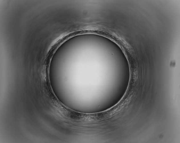 X0000100201262200805301302