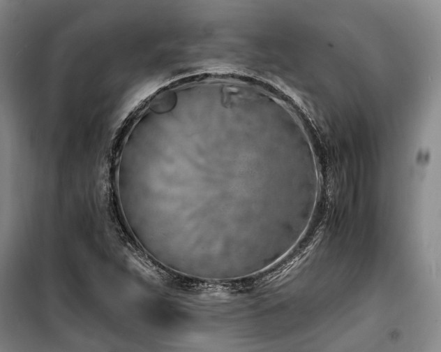 X0000100201263200805301302