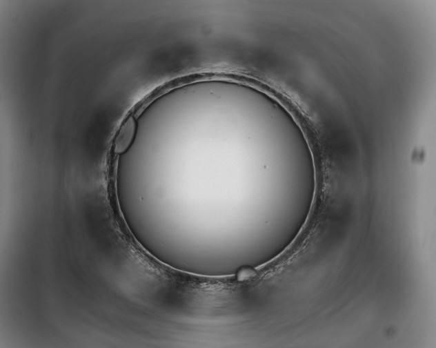 X0000100201264200805301302