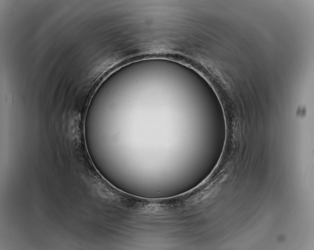 X0000100201265200805301302