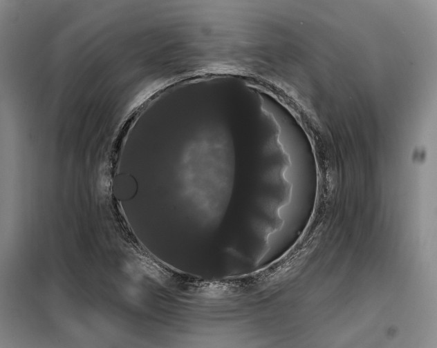 X0000100201266200805301302