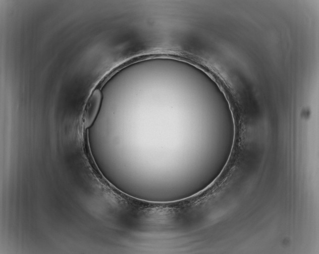 X0000100201268200805301302