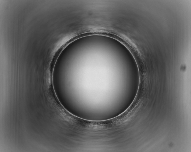 X0000100201269200805301302