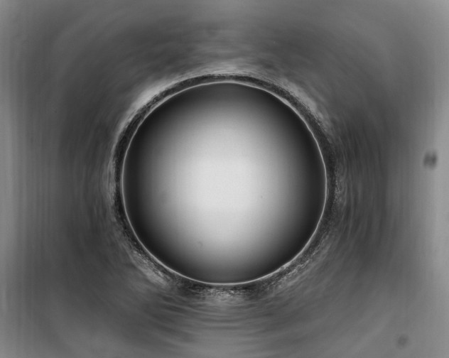 X0000100201270200805301302