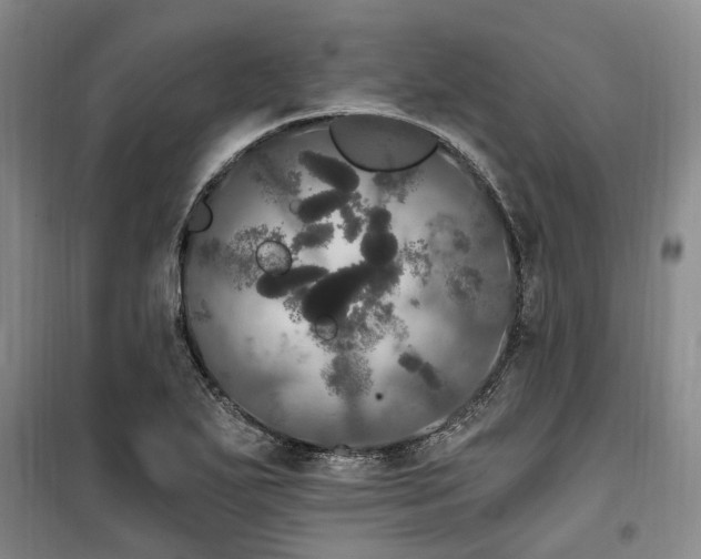 X0000100201271200805301302