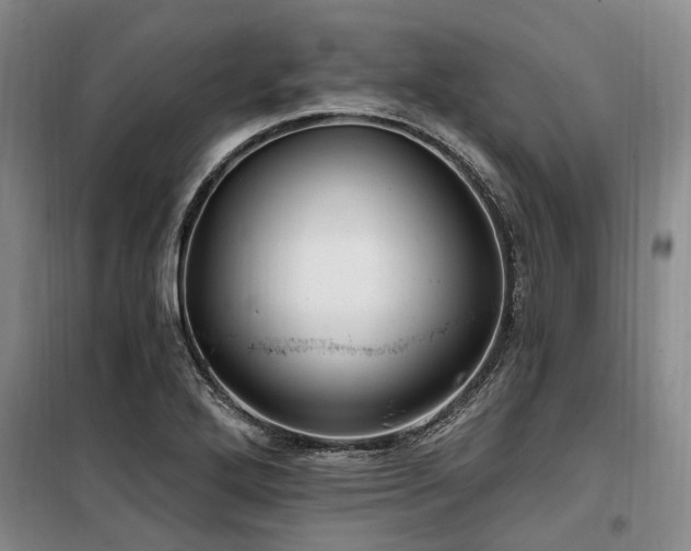 X0000100201272200805301302