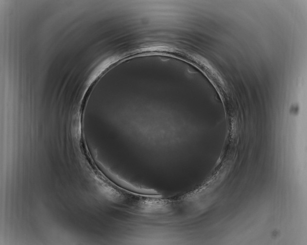 X0000100201274200805301302