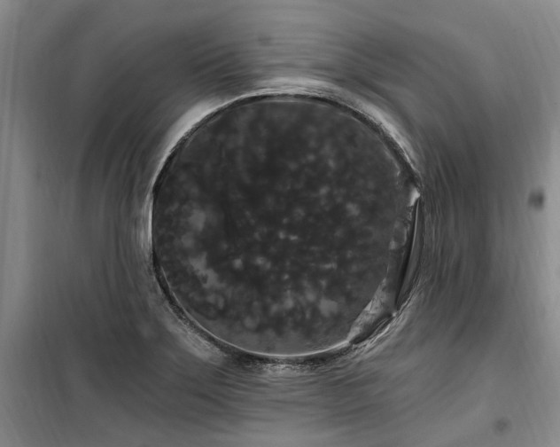 X0000100201275200805301302