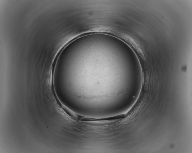 X0000100201276200805301302