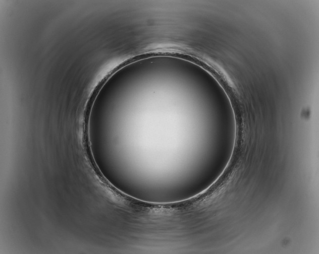 X0000100201277200805301302